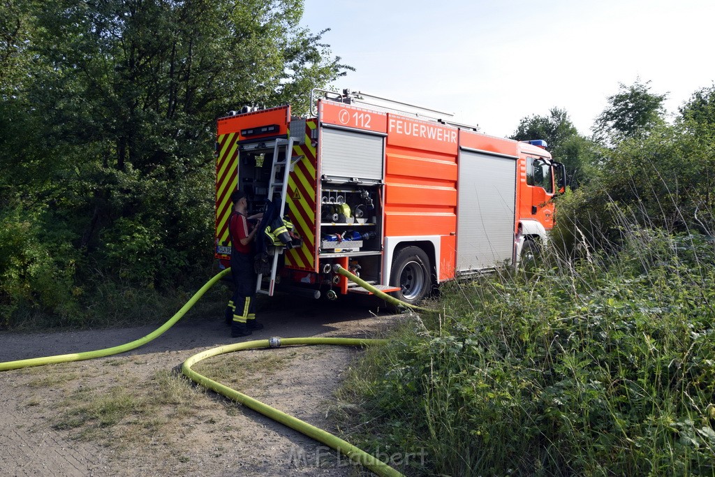 Waldbrand Koeln Hoehenhaus Hoehenfelder Mauspfad P048.JPG - Miklos Laubert